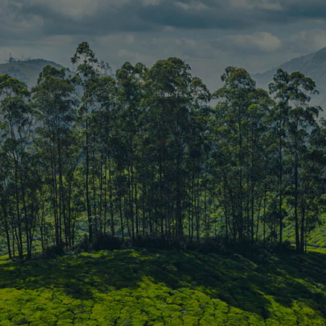 Kerala